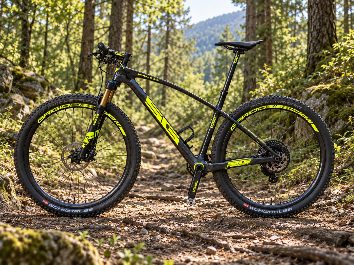 Carbon MTB cockpit on forest trail